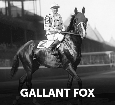 Gallant Fox