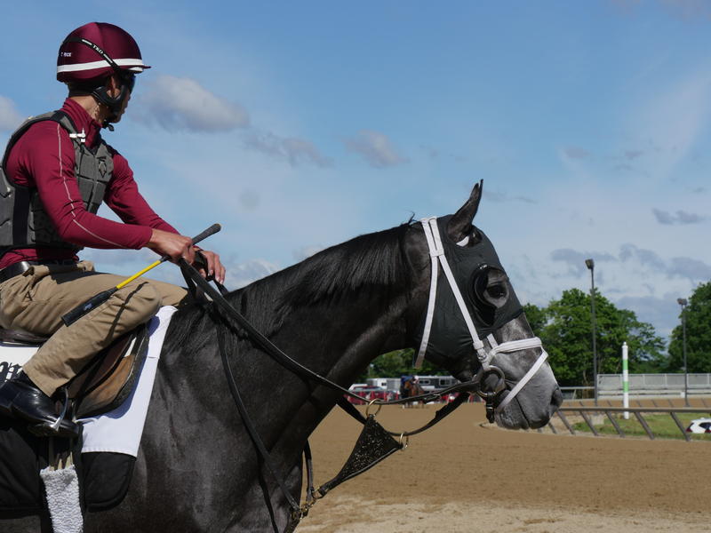 Tapwrit and Jose training