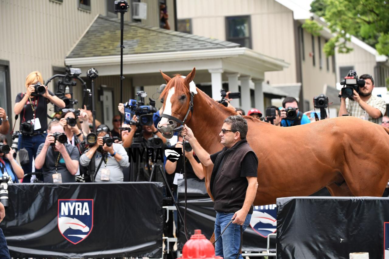 Justify (Coglianese)