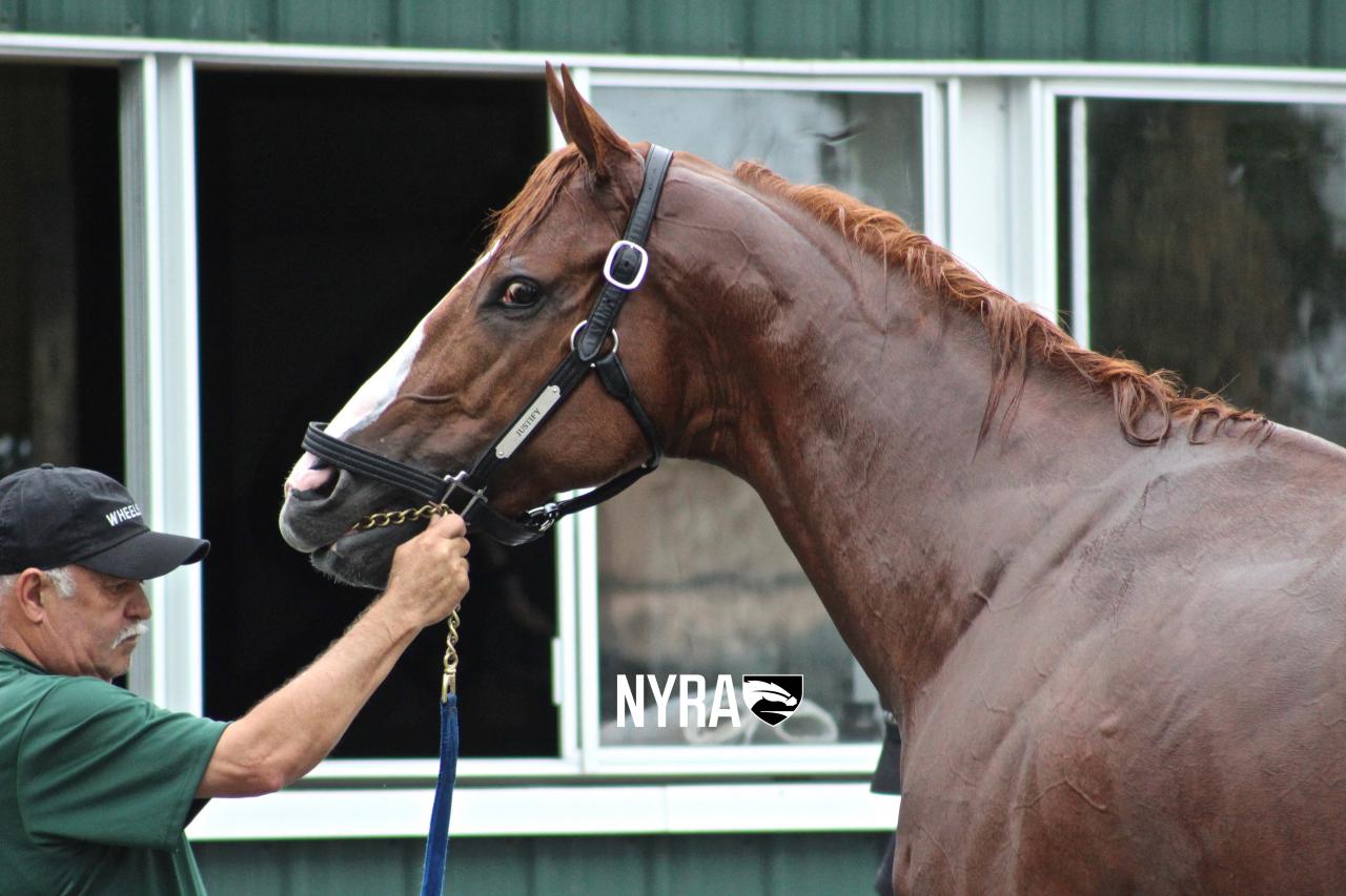 Justify (NYRA)