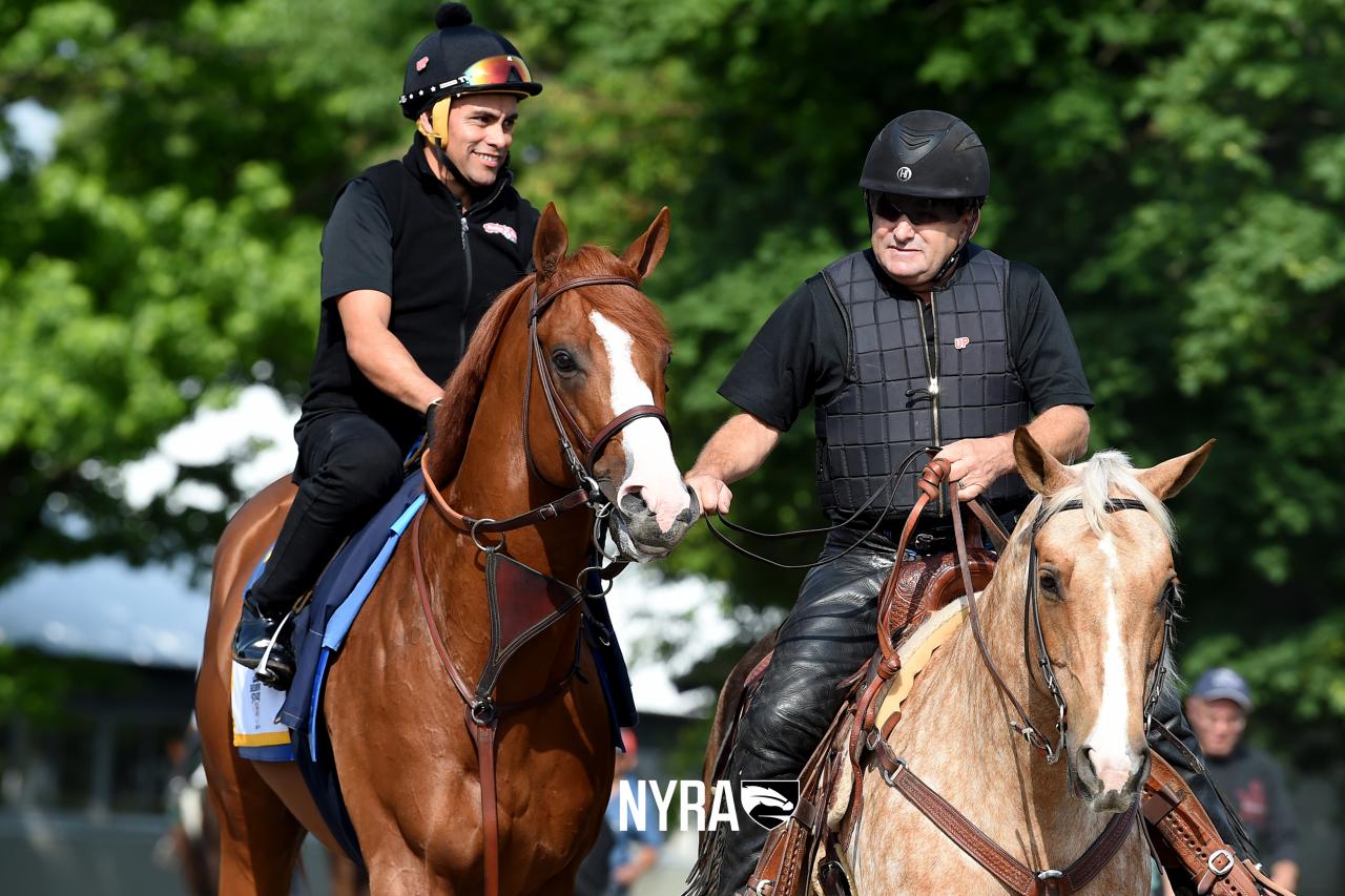 Justify (Coglianese) 