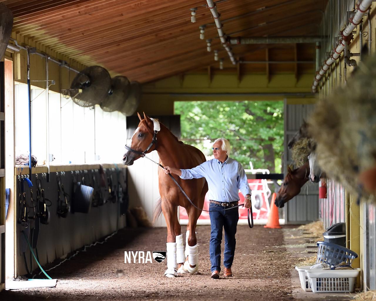 Justify (Coglianese) 