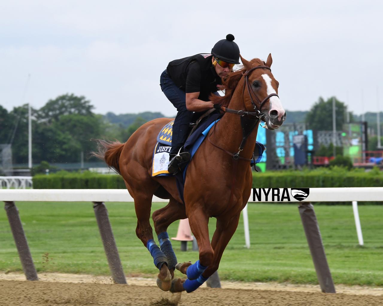 Justify (Coglianese) 