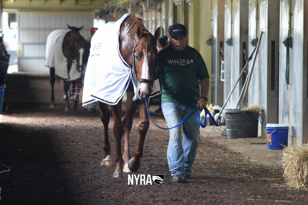 Justify (NYRA)