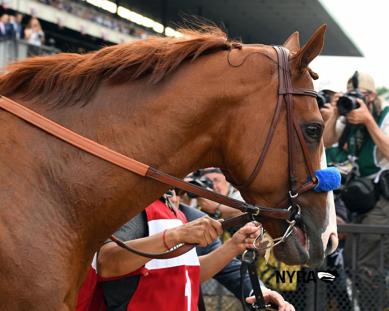 Justify (Coglianese) 