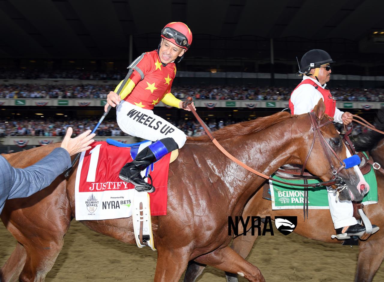 Justify (Coglianese) 