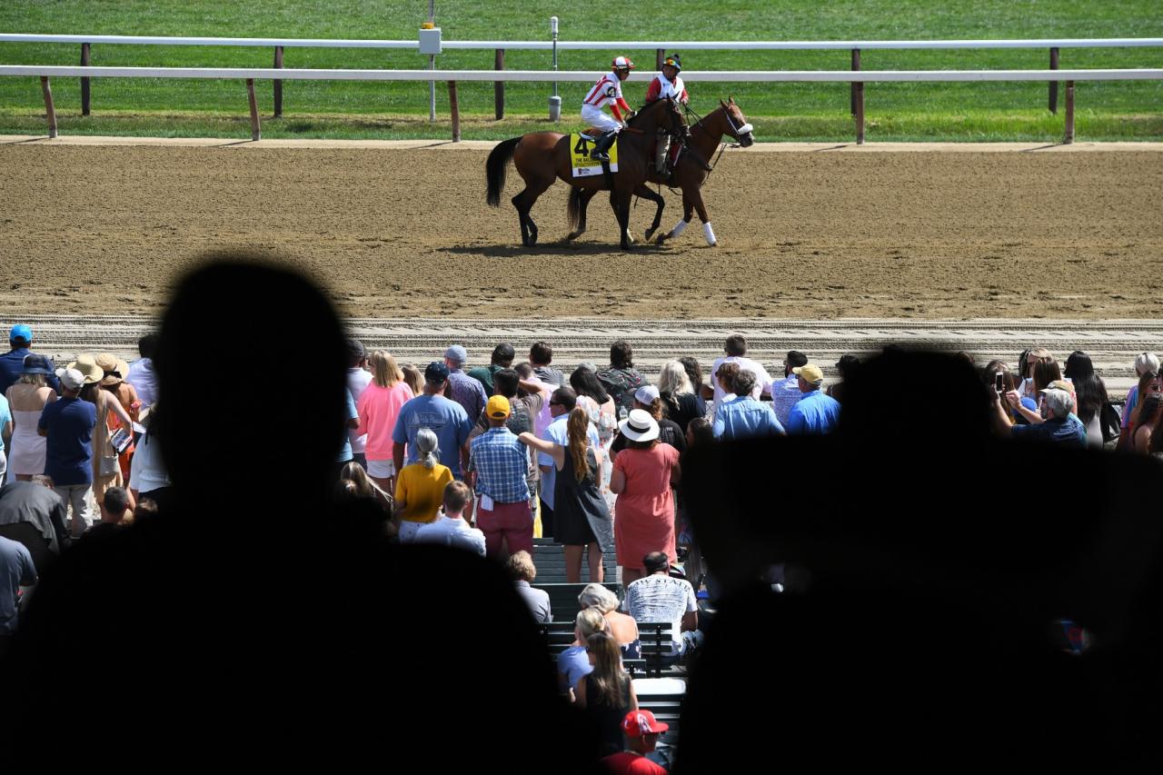 Reserved Seating Belmont Stakes Racing Festival Belmont Stakes