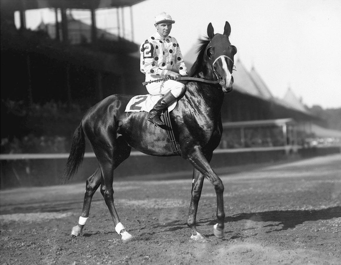 3_Gallant-Fox_1930_Triple_Crown_Winner