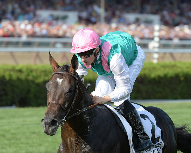 Flintshire10