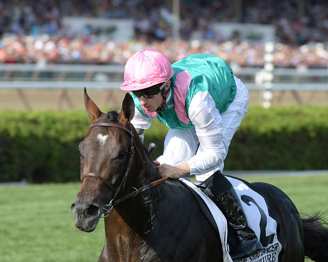 Flintshire10