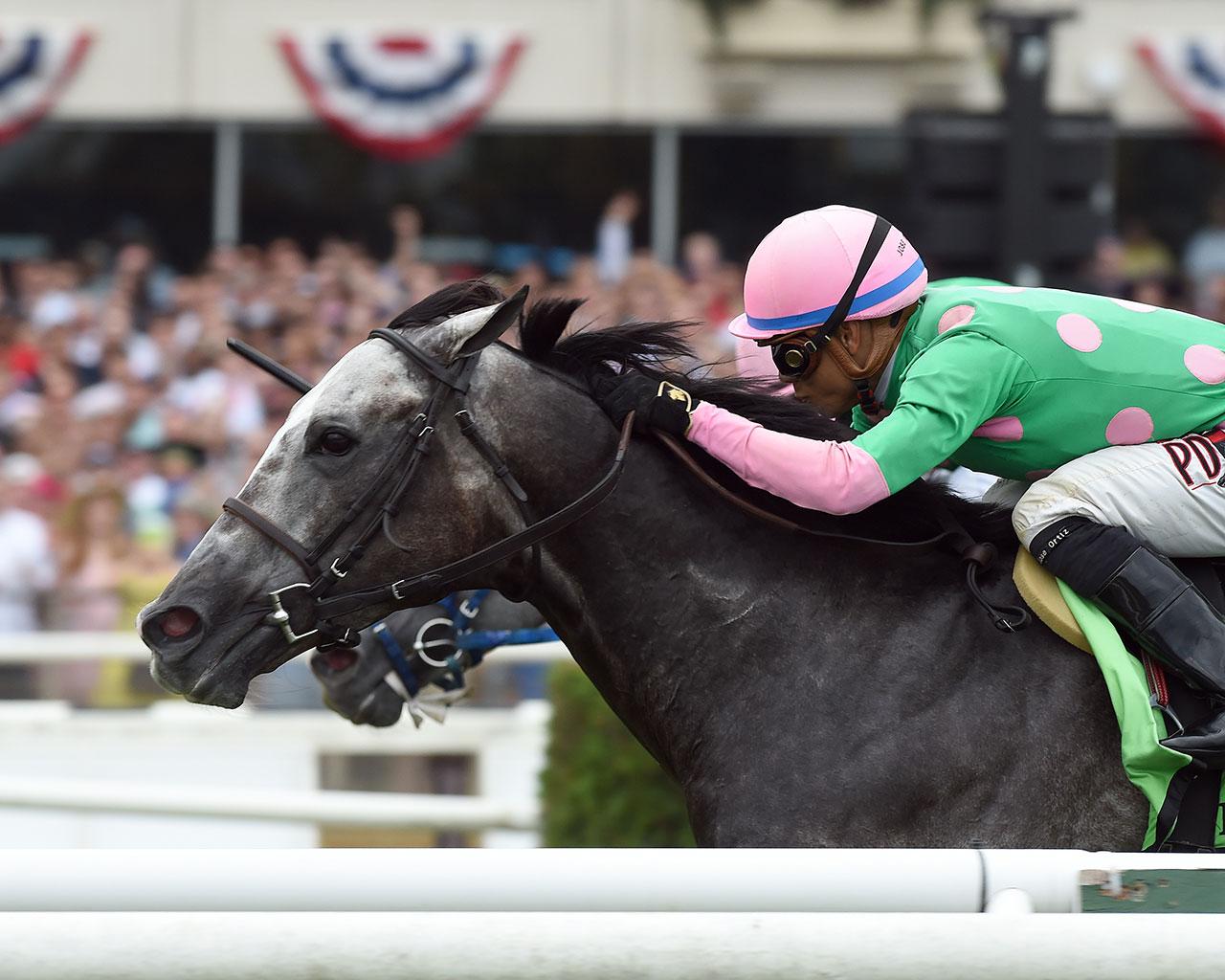 pure-sensation-credit-adam-coglianese