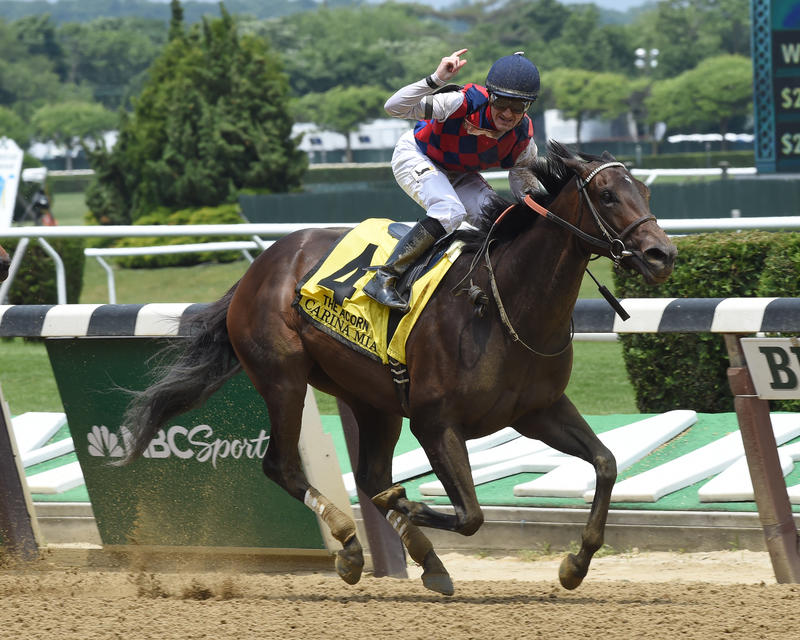 Belmont Stakes 2015 Seating Chart