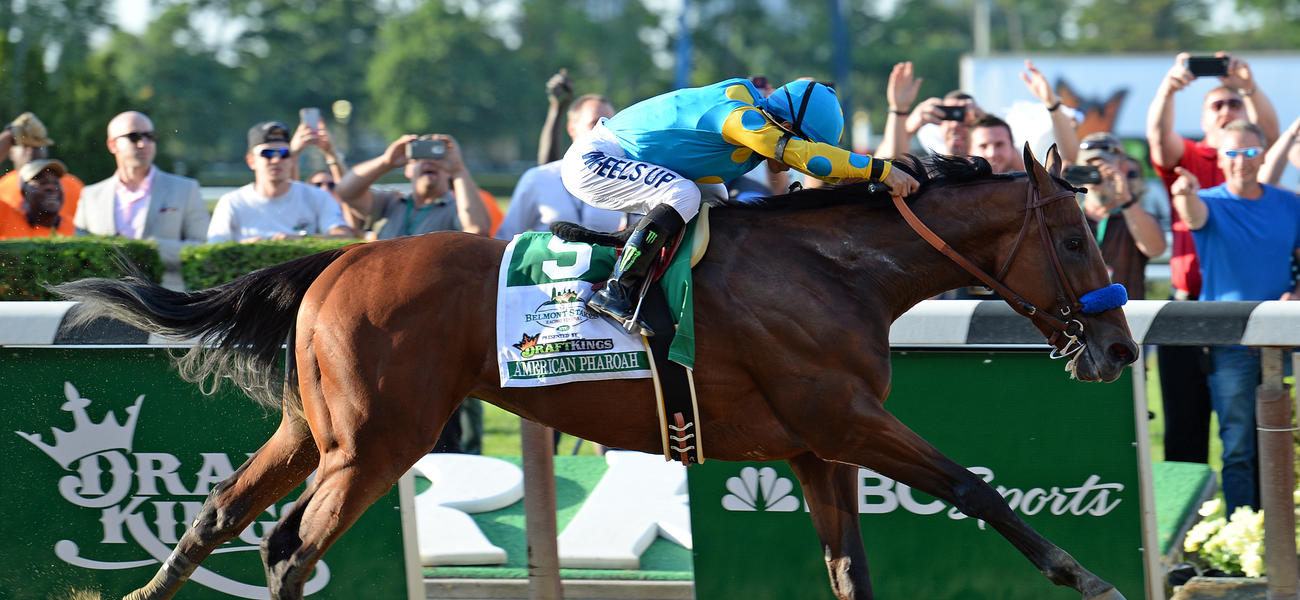 Belmont Stakes 2015 Seating Chart