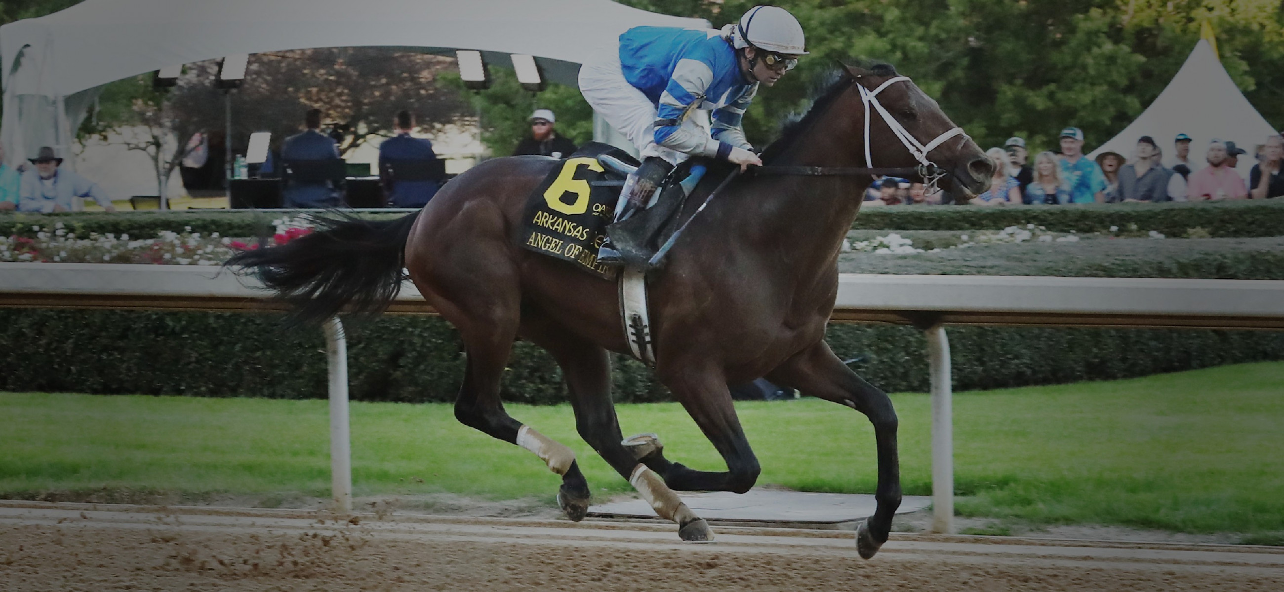 Photo of Angel of Empire