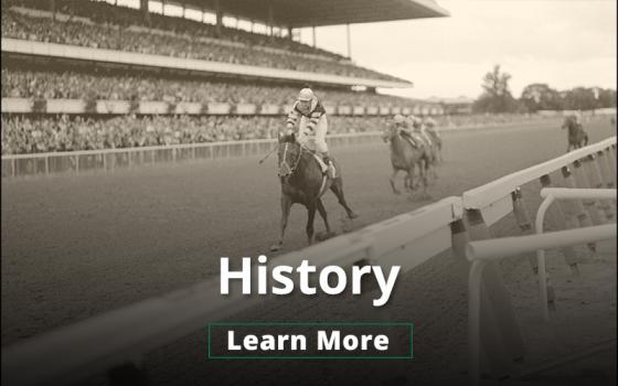 History Image