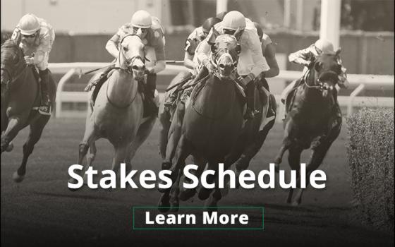Stakes Schedule Image