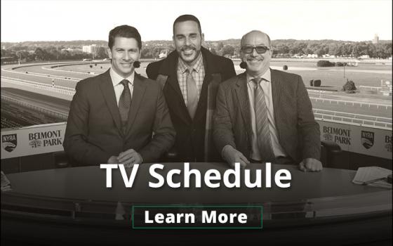 TV Schedule Image
