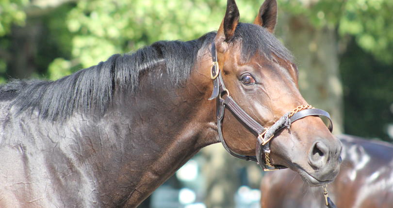 Belmont Stakes Racing Festival 2018 Playlist