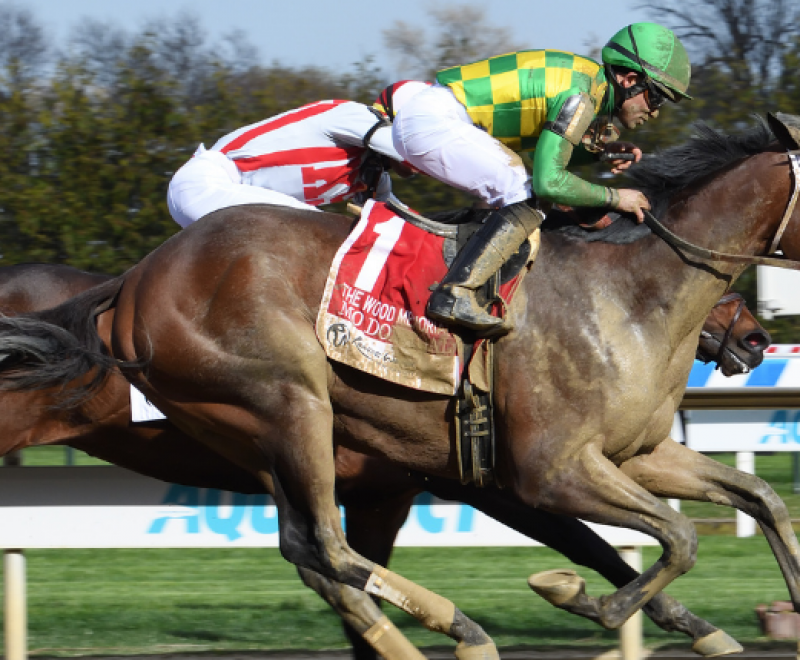 Pletcher stars on the work tab for Belmont Stakes Racing Festival