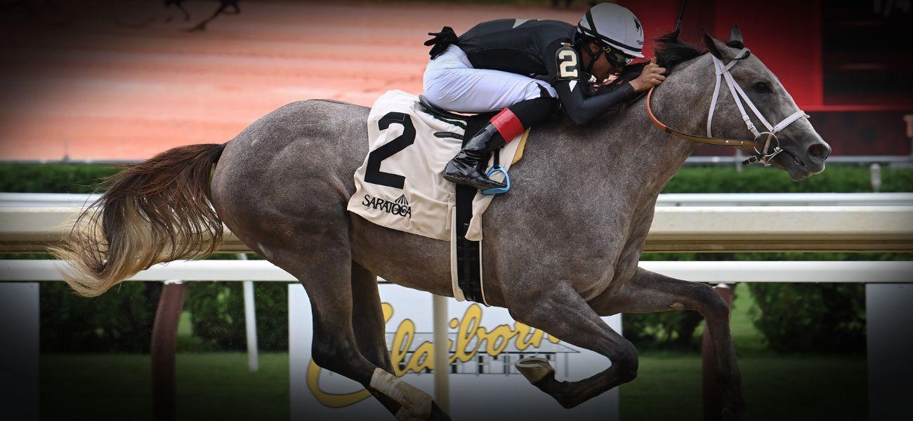 Registration for the Belmont Stakes Challenge now open
