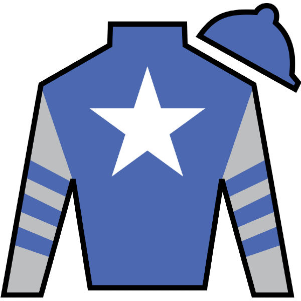 Albaugh Family Stables LLC Silk