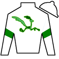 Roadrunner Racing, Boat Racing, LLC, Strauss Bros Racing and Gainesway Thoroughbreds, Ltd. Silk