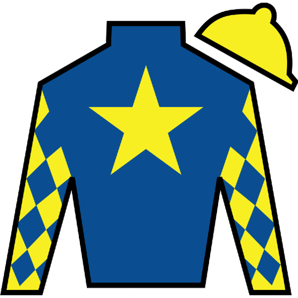 SF Racing LLC, Starlight Racing, Madaket Stables LLC, Masterson, Robert E., Stonestreet Stables LLC, et al. Silk