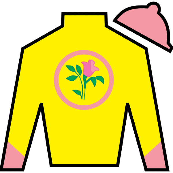 Spendthrift Farm, LLC, Steve Landers Racing, LLC, Schwartz, Martin S., Dubb, Michael, Ten Strike Racing, et al. Silk