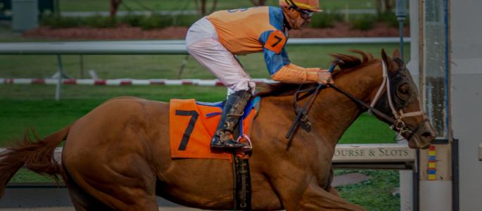 Tapit Shoes