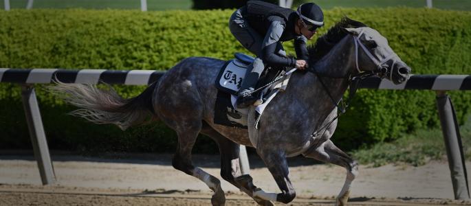 Tapit Trice
