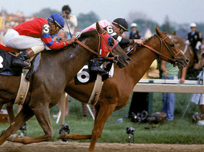 Photo of Affirmed