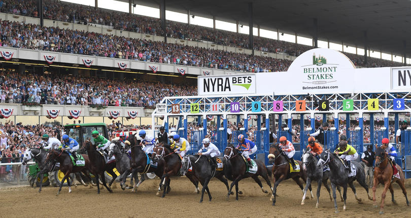 2016 Belmont Stakes Racing Festival Horses