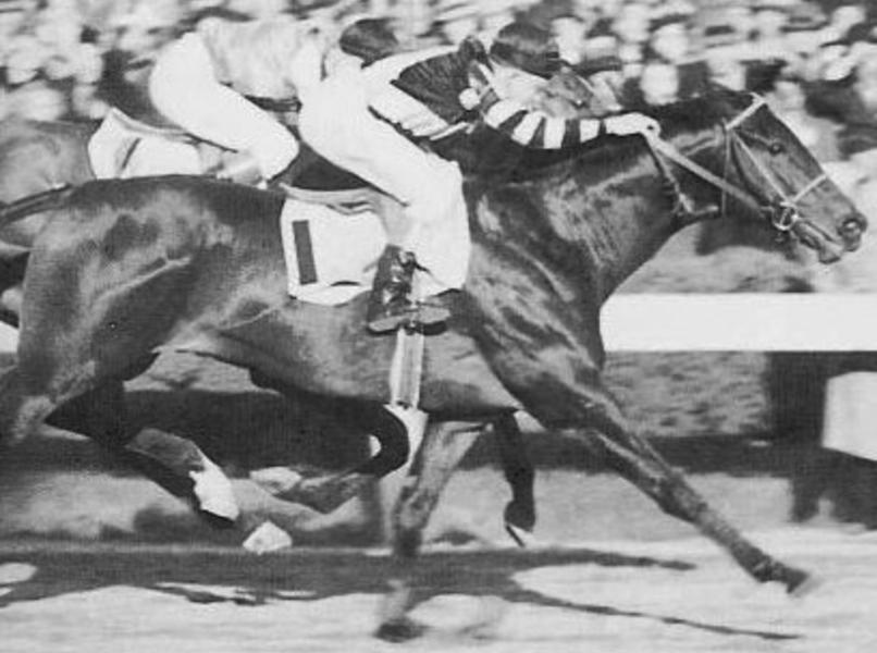 Photo of War Admiral