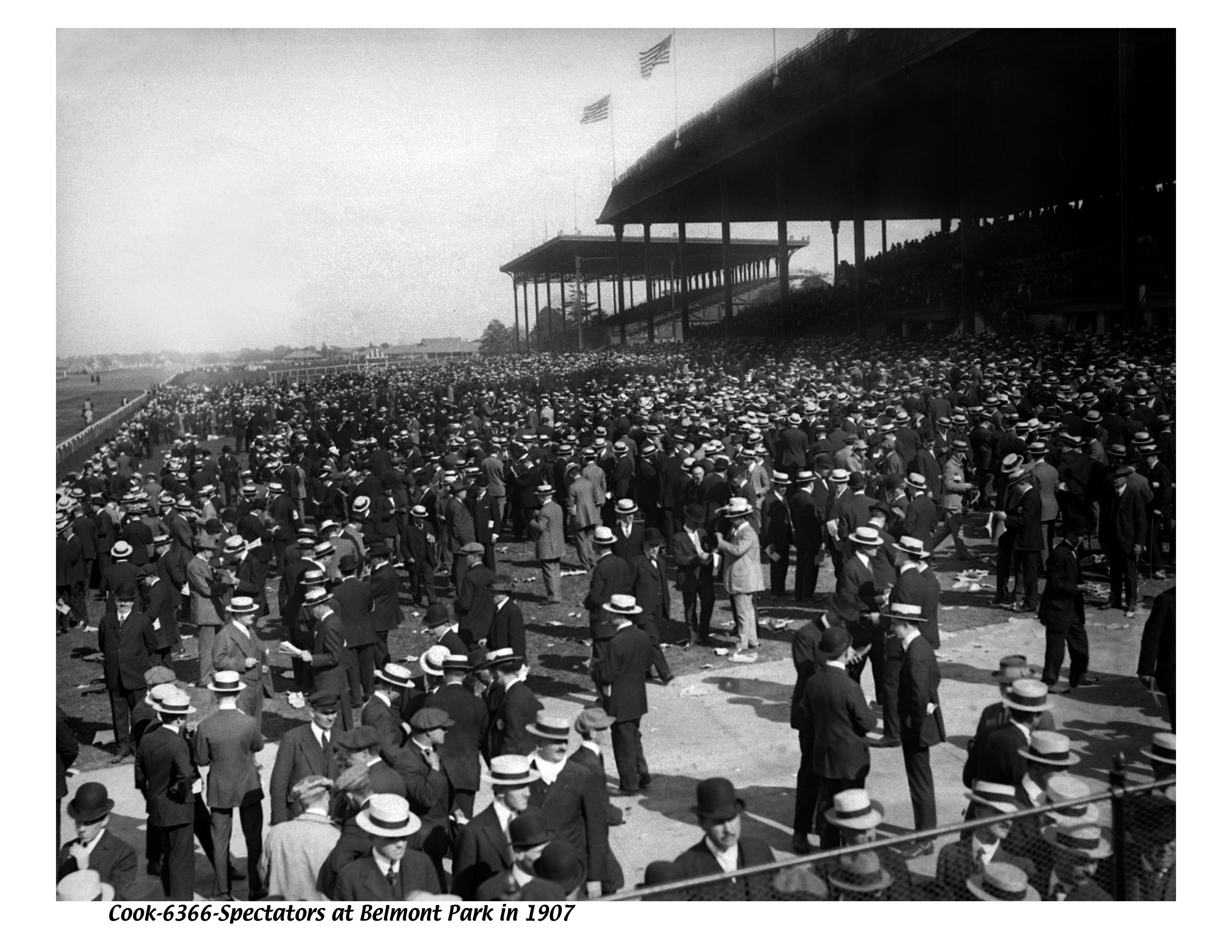 Belmont Park Race Entries