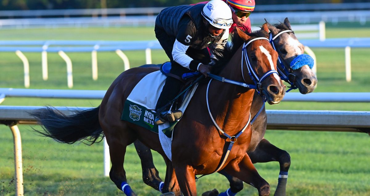 G1 Belmont Stakes hopeful Mystik Dan and G1 DK Horse Acorn contender