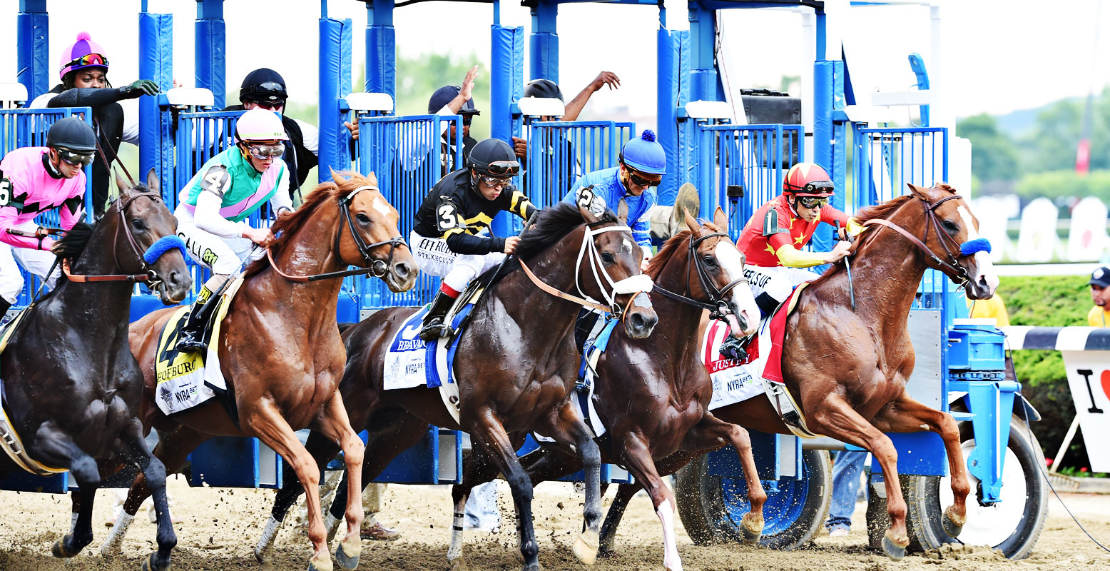 Home Belmont Stakes