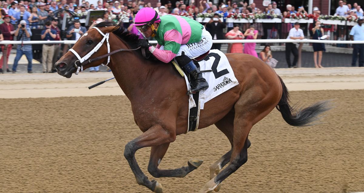 Becky’s Joker to enter G1 DK Horse Acorn; G1winner Nutella Fella