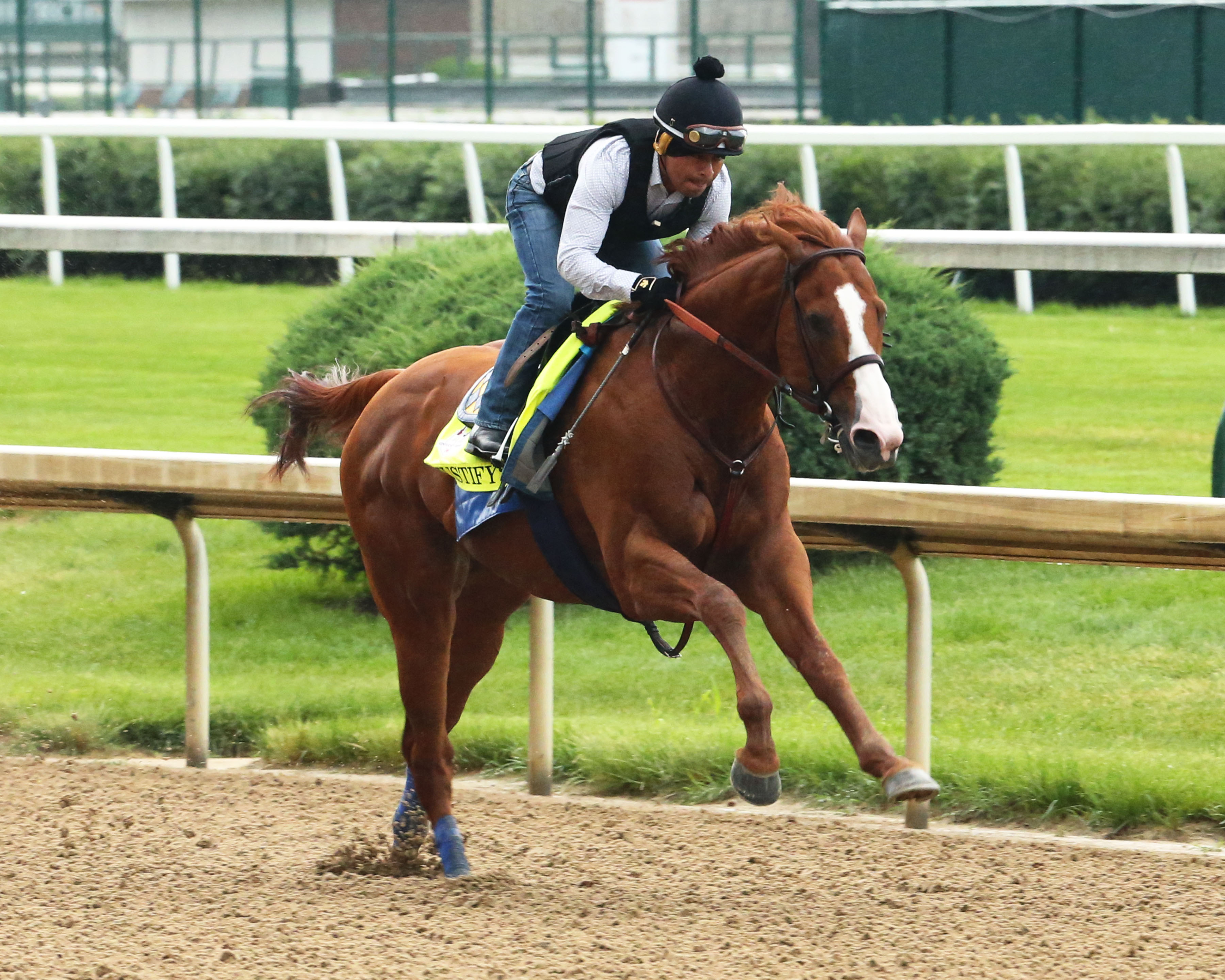 Nyra Bets Results 18 - 3gxc6z2