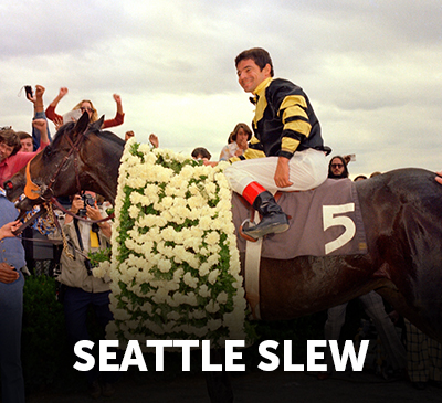 Seattle Slew