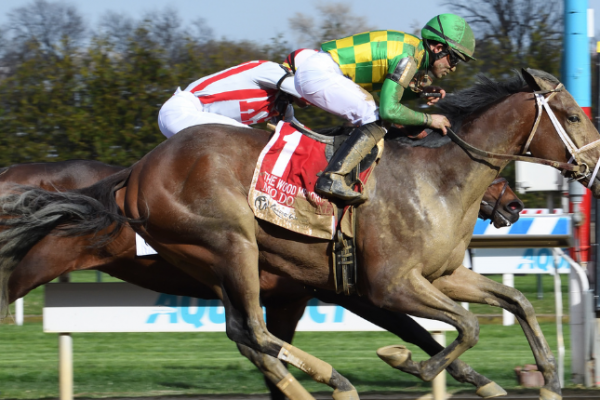 Pletcher stars on the work tab for Belmont Stakes Racing Festival
